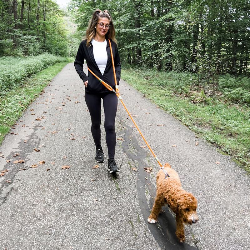 Running Gear Holder - Reflecterende handsfree hondenriem voor wandelen, wandelen